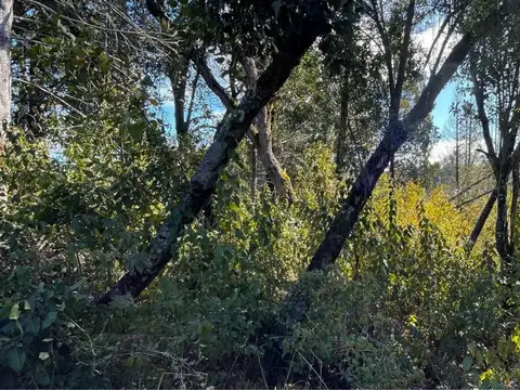 Terreno en Venta en Tres Cerros, USD 85.000