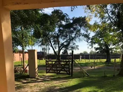 Del sol y Los Jazmines