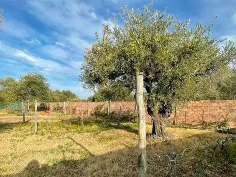Terreno en Venta de 1000,0 m2