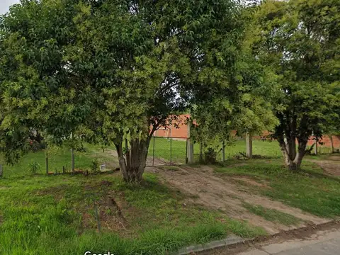 39 136 y 137 L.P.