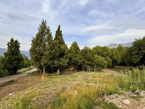 LOS CHARITOS , Piso 0