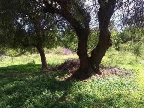 Terreno en Venta en Centro, USD 64.900