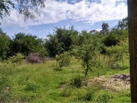 Terreno en Venta de 940,0 m2