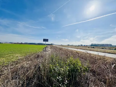 Campo en venta.