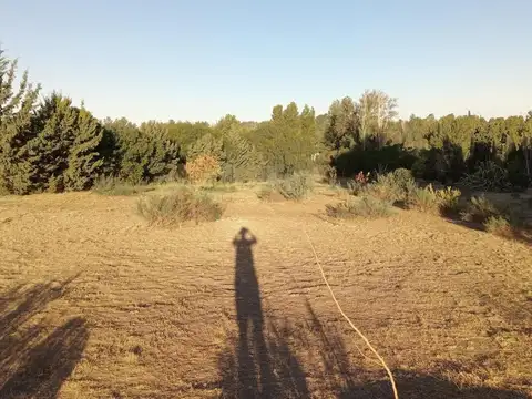 Domingo Pronsato e/ Antonio Crespi Valls y Las Toscas