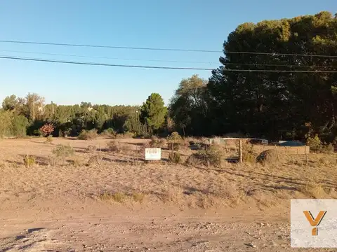 Terreno en Venta 40  mts Frente