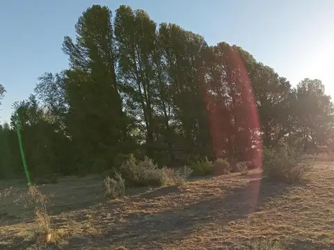 Terreno en Venta de 3950,0 m2