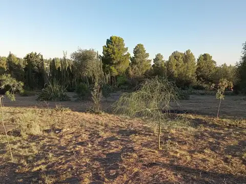 Domingo Pronsato e/ Antonio Crespi Valls y Las Toscas