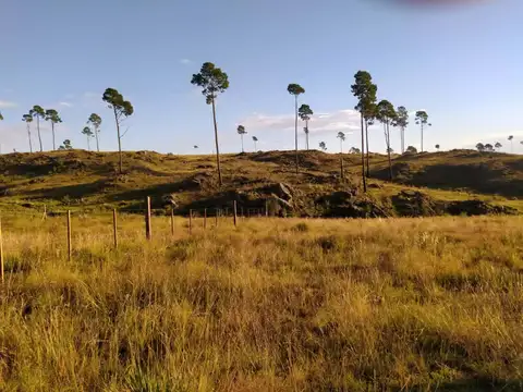 Terreno en Venta 29  mts Frente