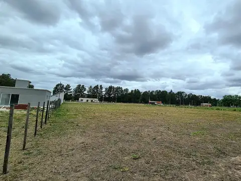 Terreno en Venta 50  mts Frente