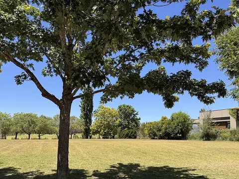 Terreno en Venta de 2009,0 m2