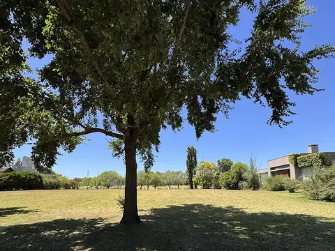 Terreno en Venta 36  mts Fondo