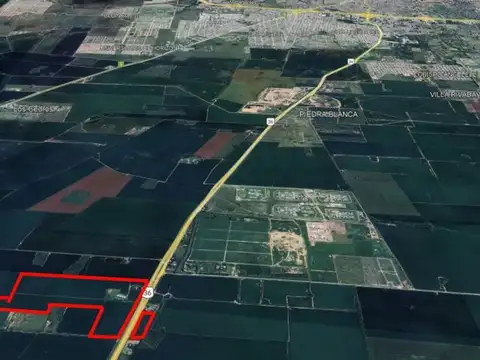 VENTA CAMPO 85 HECTAREAS RUTA N 36  ZONA BOWER