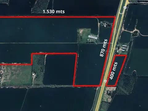 VENTA CAMPO 85 HECTAREAS RUTA N 36  ZONA BOWER