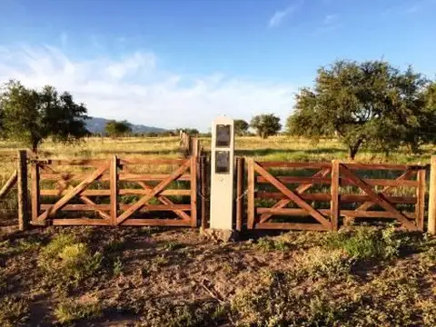 Terreno en Venta en Daniel Donovan, USD 30.000