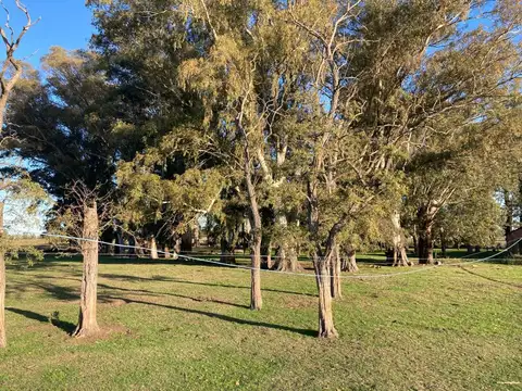 Las Flores, sobre Ruta Prov. N°30 y a 20 Km de ciudad