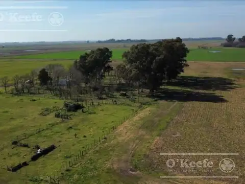 Campo en venta 84 has - 60% Agricola en General Belgrano
