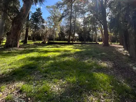 Campo en Venta de 2  ha