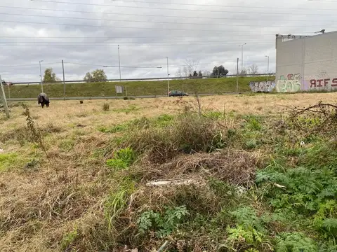 Terreno en Alquiler 37  mts Fondo