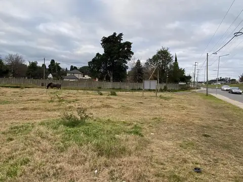 Terreno en Alquiler de 1500,0 m2