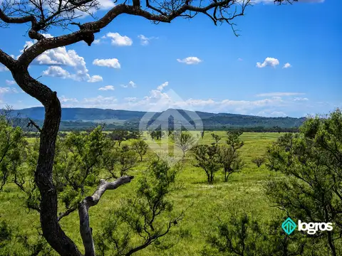 Campo en venta de 1486 ha | sobre ruta Prov. N°5 | Martinez del Tineo | Salta