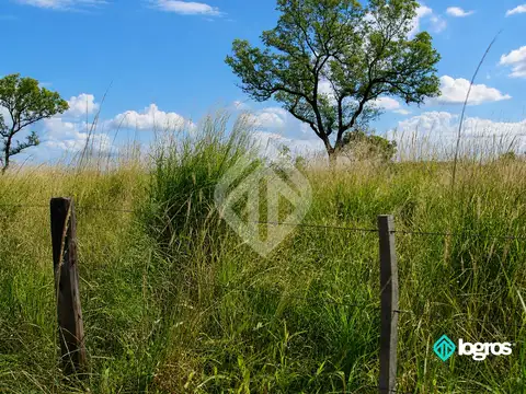 Campo en venta de 1486 ha | sobre ruta Prov. N°5 | Martinez del Tineo | Salta