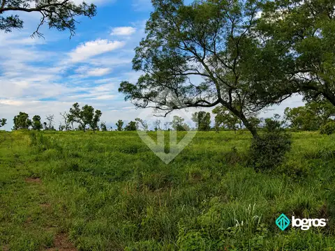 Campo en venta de 1486 ha | sobre ruta Prov. N°5 | Martinez del Tineo | Salta