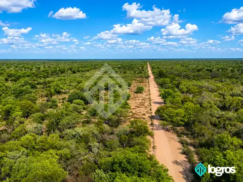 Campo en venta de 1486 ha | sobre ruta Prov. N°5 | Martinez del Tineo | Salta