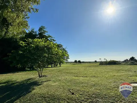 Calle 161 (B1627), Pilar, Buenos Aires, Argentina 100