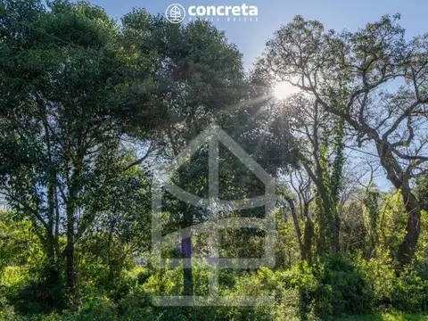 Terreno en Venta de 1033,0 m2