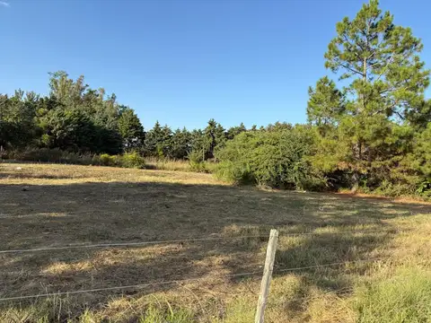 Terreno en Venta en Altos De Robles, USD 98.000