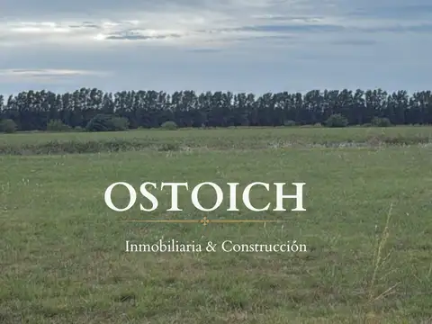 Terreno en venta en San Pedro en LAGOS DE OBLIGADO