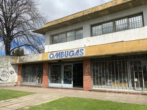 Av. de los Constituyentes y Neuquén