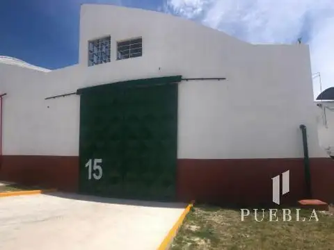 Martin Rodriguez al 100 - UF  7