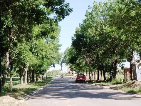 Terreno en Venta en Adrogue, USD 210.000