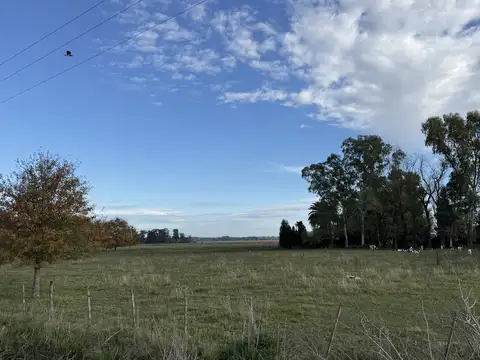 Campo en Venta Agricola