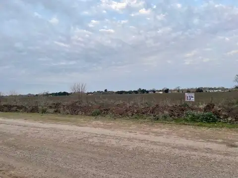 San Lorenzo 600