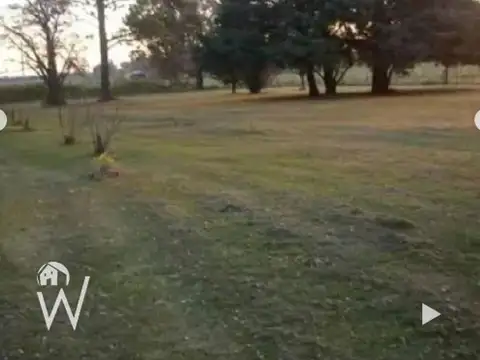 Campo en Venta Agrícola