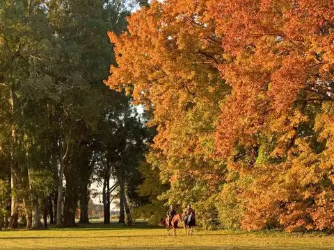 Terreno en Venta en Estancia Villa Maria, USD 52.000