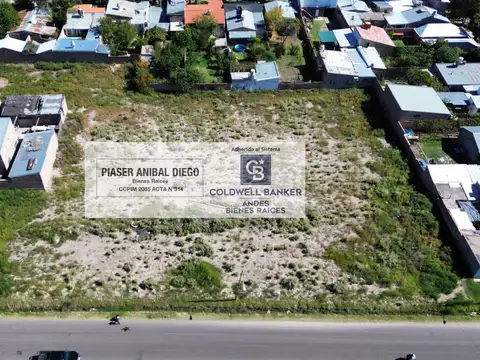 Terreno Industrial 1 - Urquiza e Iselin