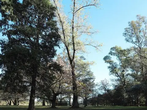 Terreno en Almahue