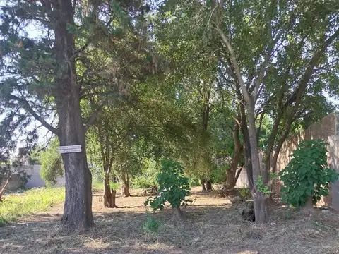 Terreno en Venta en Santo Tome, USD 15.000