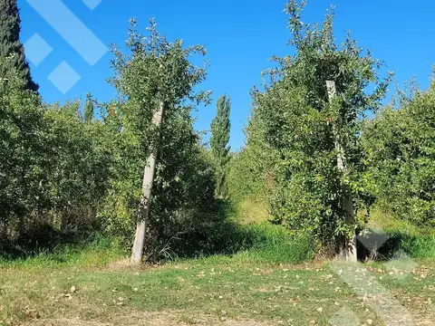 Terreno en Venta en Allen, USD 170.000