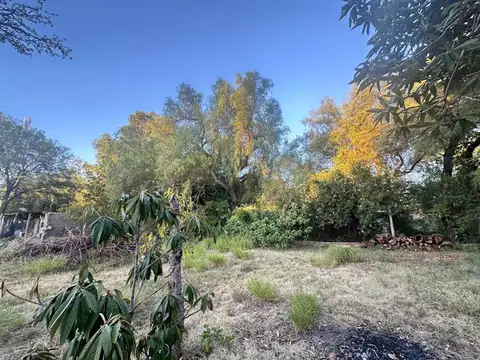 VENDE CASONA ANTIGUA LUJAN SAN LUIS