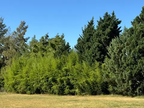 Terreno / Lote en venta de 2007.8m2 ubicado en Santa Catalina 2