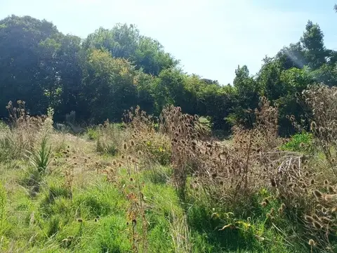 Terreno en Venta en Empalme Olmos, USD 19.000