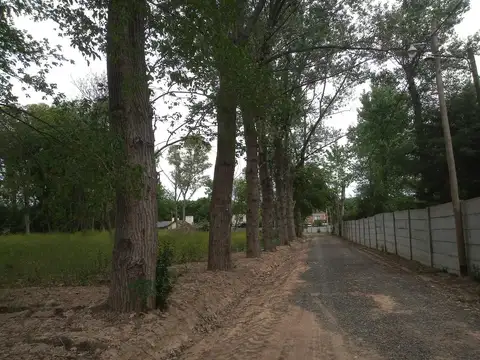 Terreno en Venta 10  mts Frente