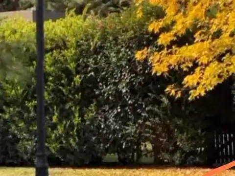 Alto Los Cardales, Provincia De Buenos Aires