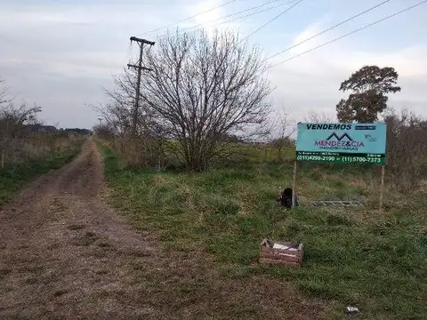CAMINO RURAL 100