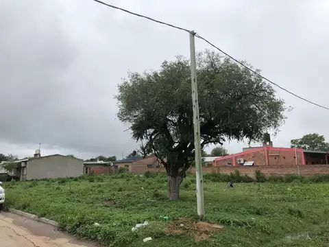 Juan José Paso